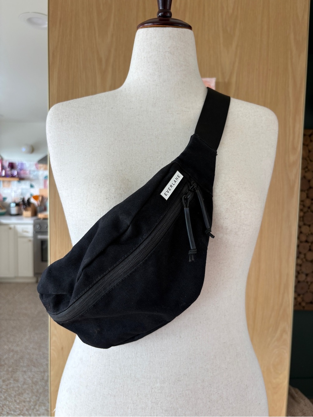 Everlane Black Crossbody Sling Bag with Front Zip